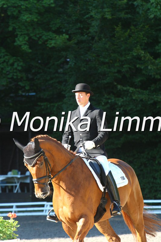 009M6206_Walencio_Dressurpf M.JPG